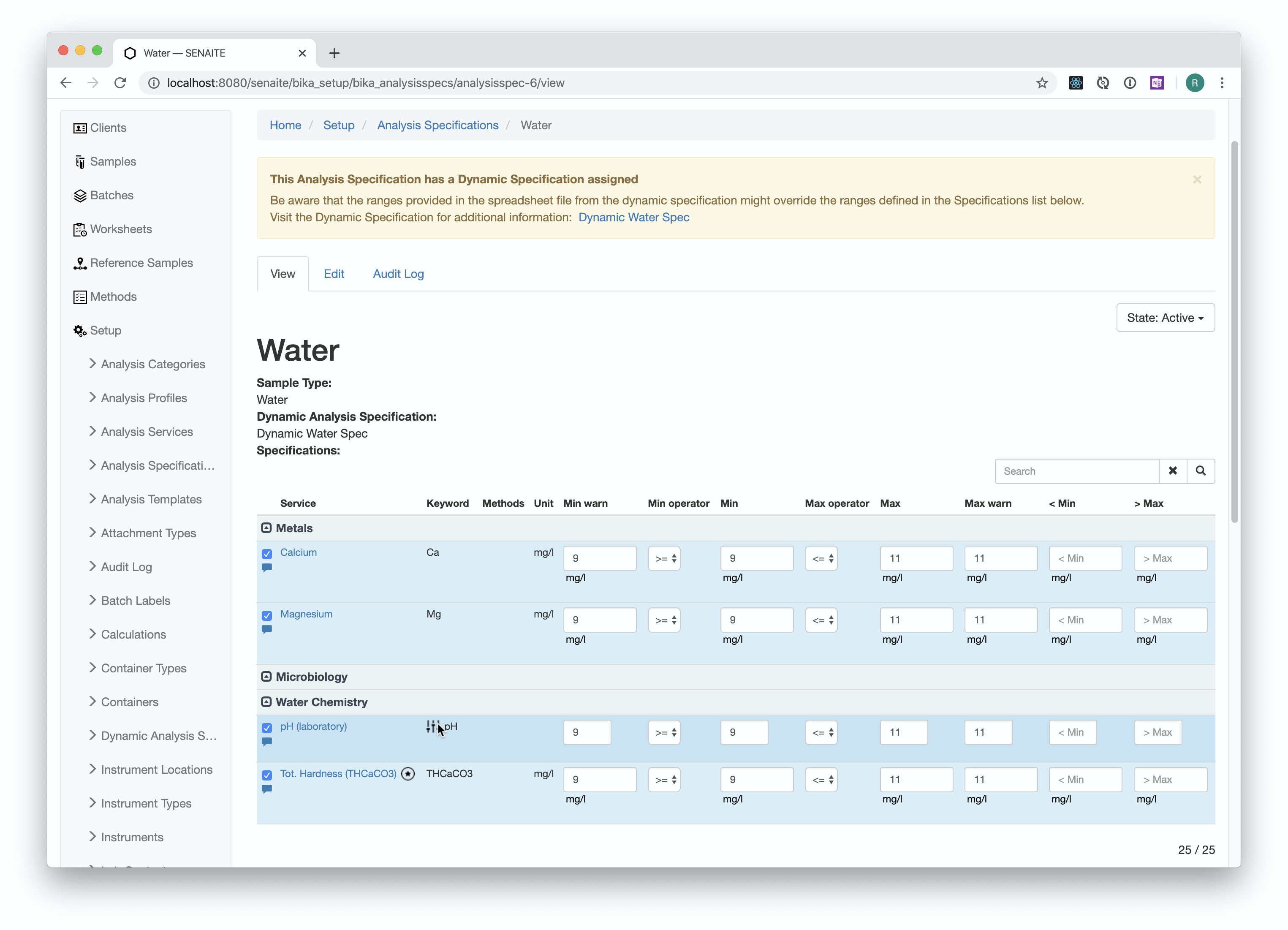 Dynamic Analysis Specification